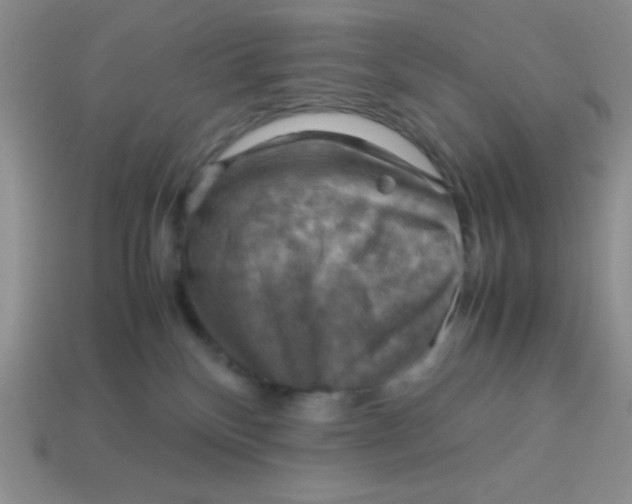 X0000113590136200910091507