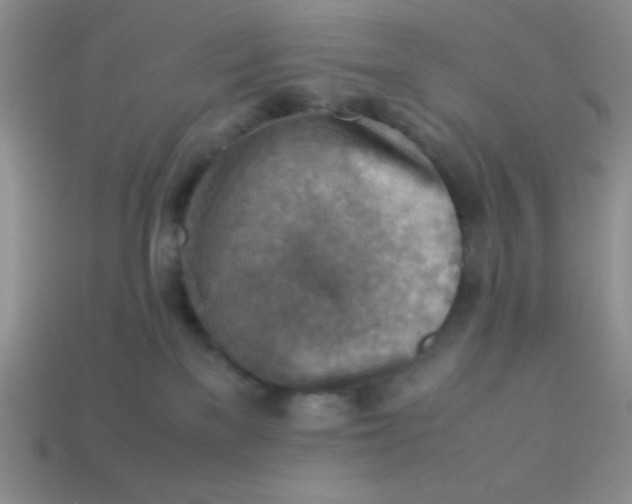 X0000113590137200910091507