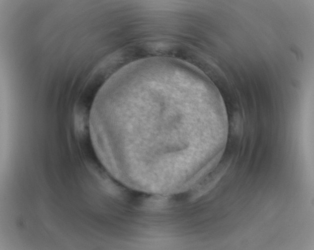 X0000113590138200910091507