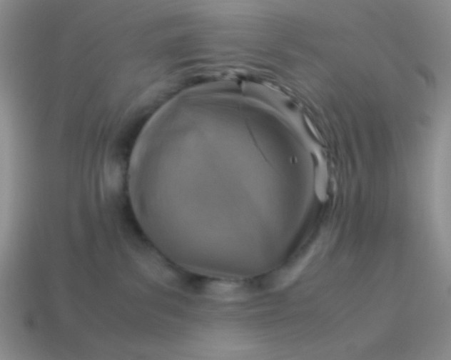 X0000113590139200910091507