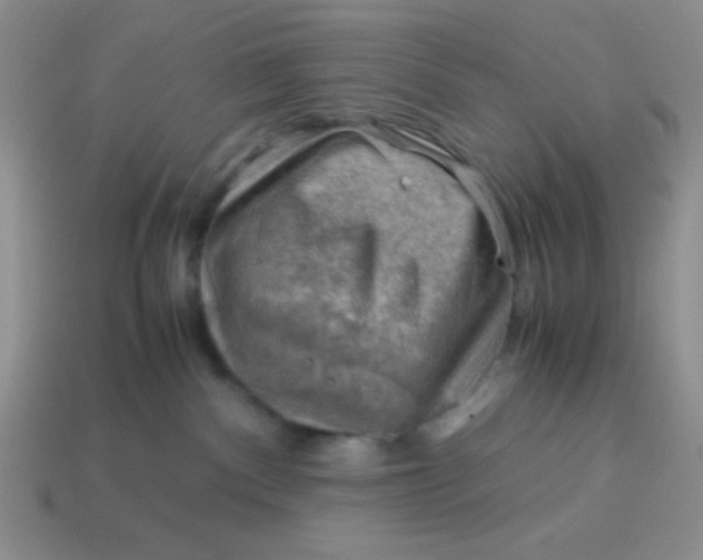 X0000113590140200910091507