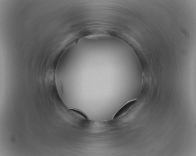 X0000113590141200910091507