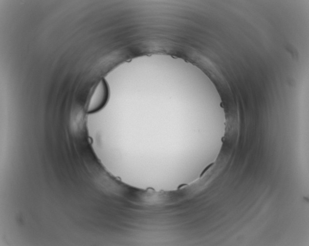 X0000113590142200910091507