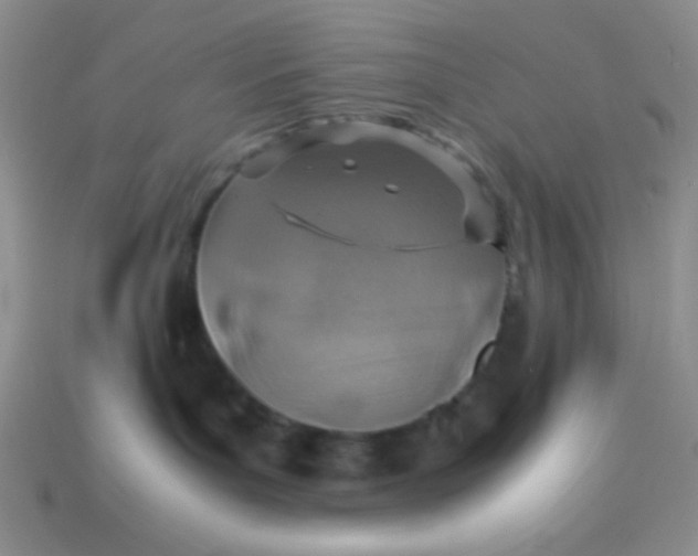 X0000113590143200910091507