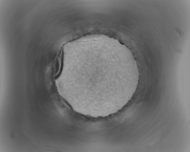 X0000113590144200910091507