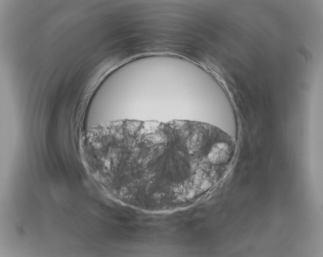 X0000113590145200910091506