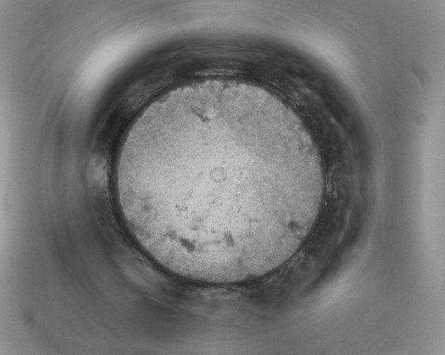 X0000113590146200910091507