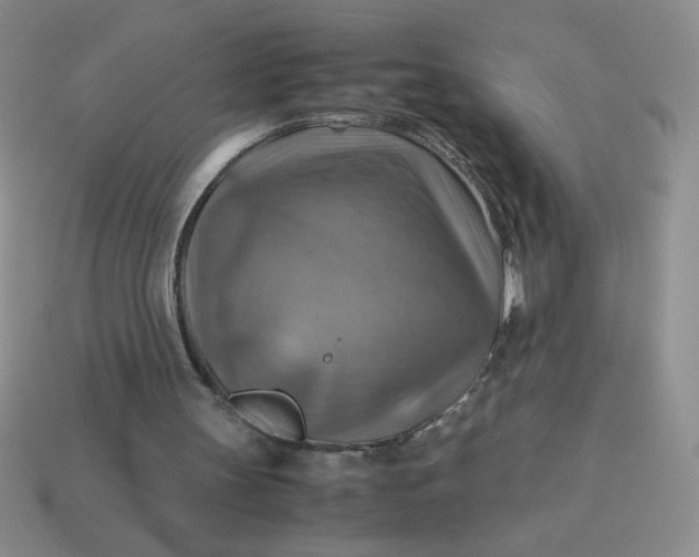 X0000113590147200910091507