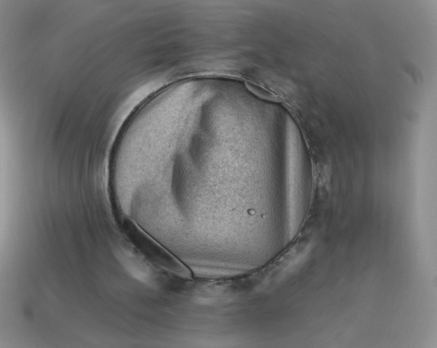 X0000113590148200910091507