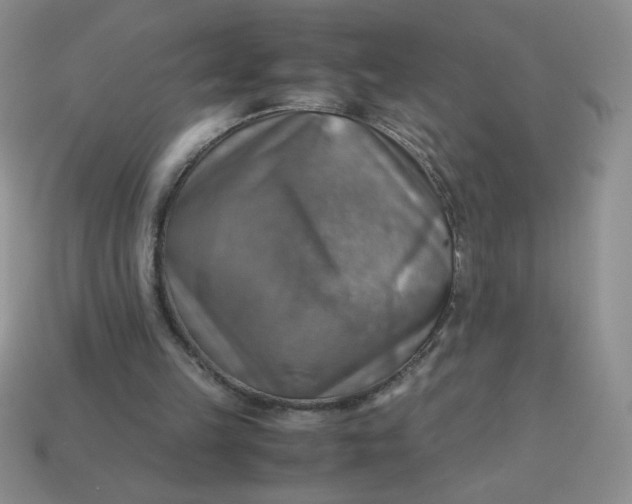 X0000113590149200910091507