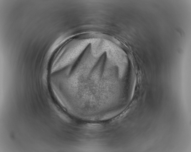 X0000113590150200910091507