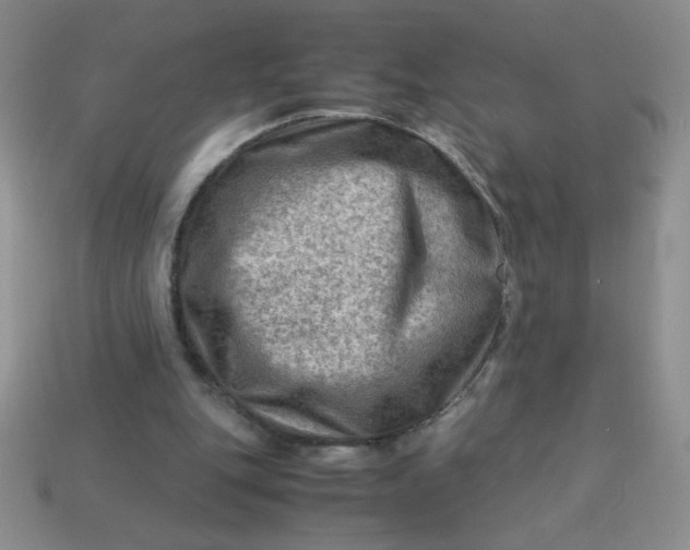 X0000113590151200910091507