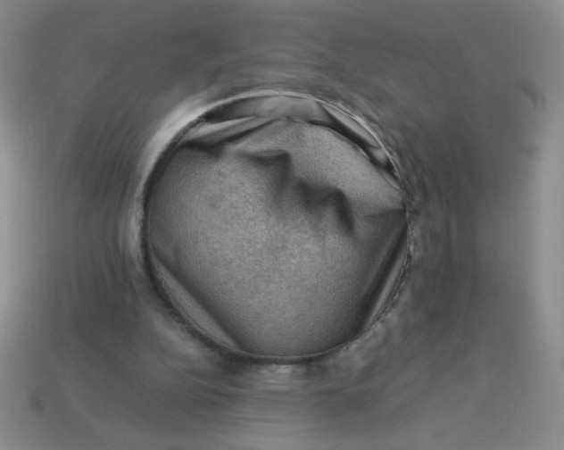 X0000113590152200910091507