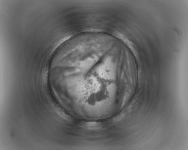 X0000113590153200910091507