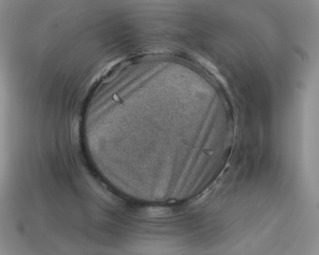 X0000113590154200910091507