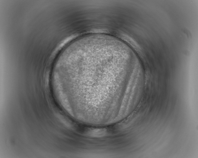 X0000113590155200910091507