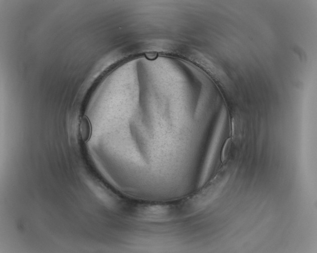 X0000113590156200910091507