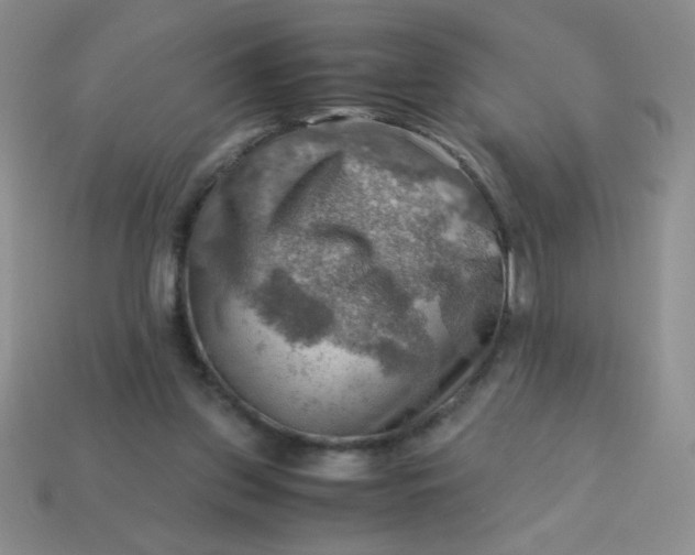 X0000113590157200910091507