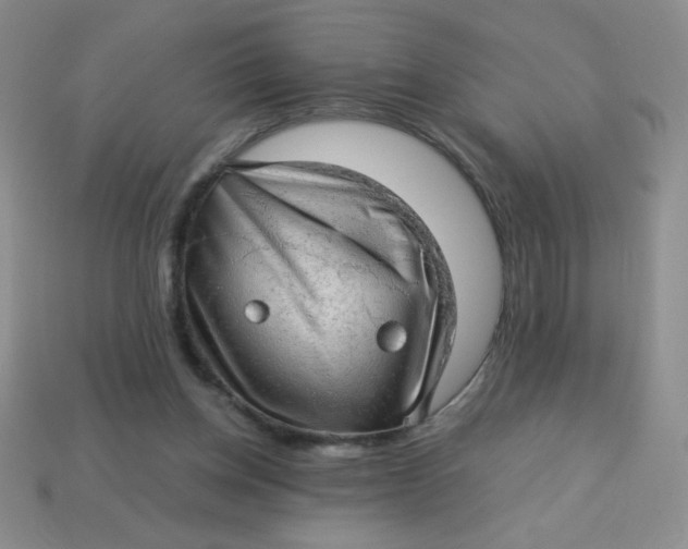 X0000113590158200910091507