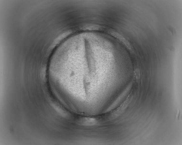 X0000113590159200910091507