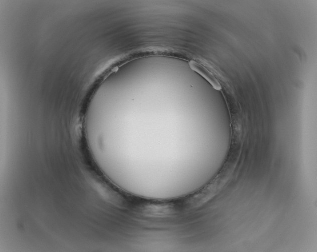 X0000113590160200910091507