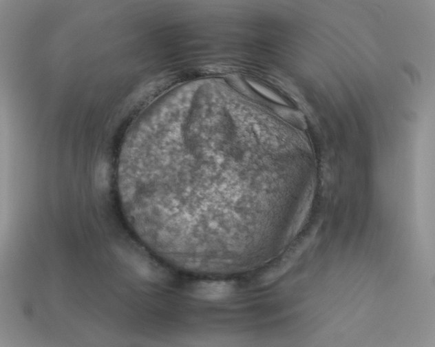 X0000113590161200910091507