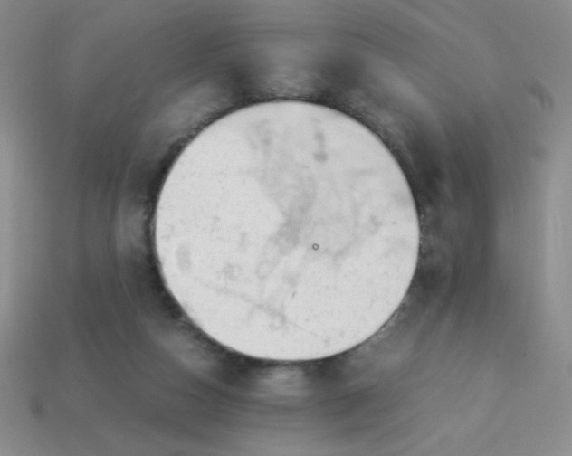 X0000113590162200910091507