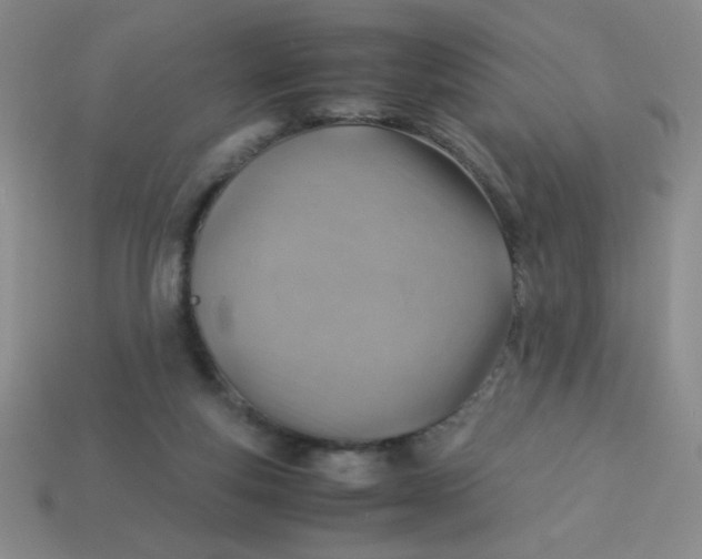 X0000113590163200910091507