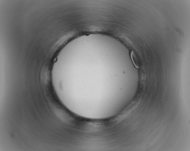 X0000113590164200910091507