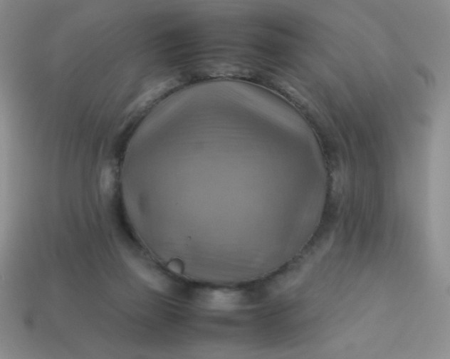 X0000113590165200910091507