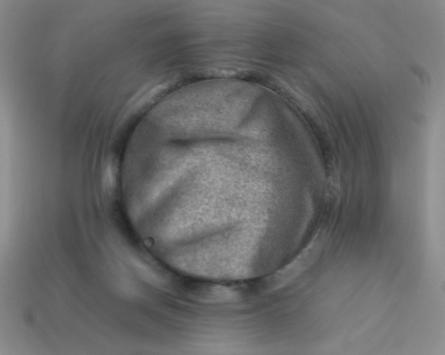 X0000113590166200910091507