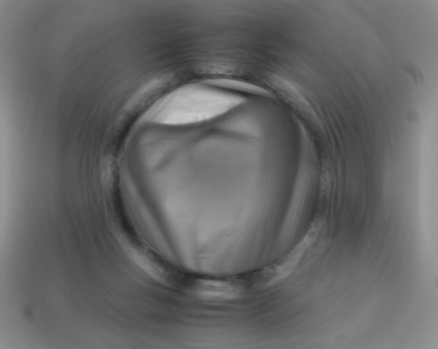 X0000113590167200910091507