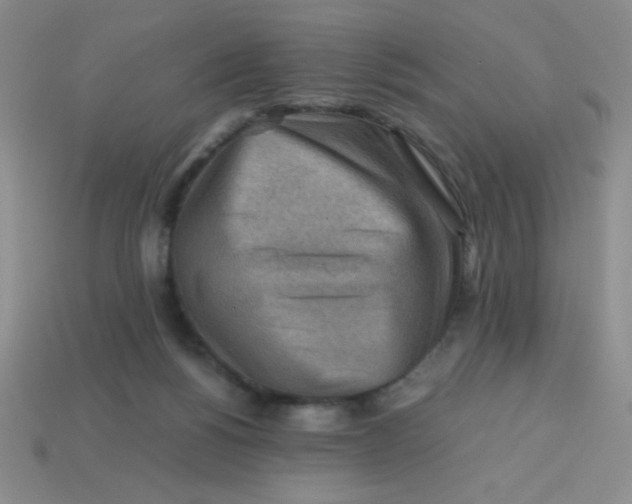 X0000113590168200910091507