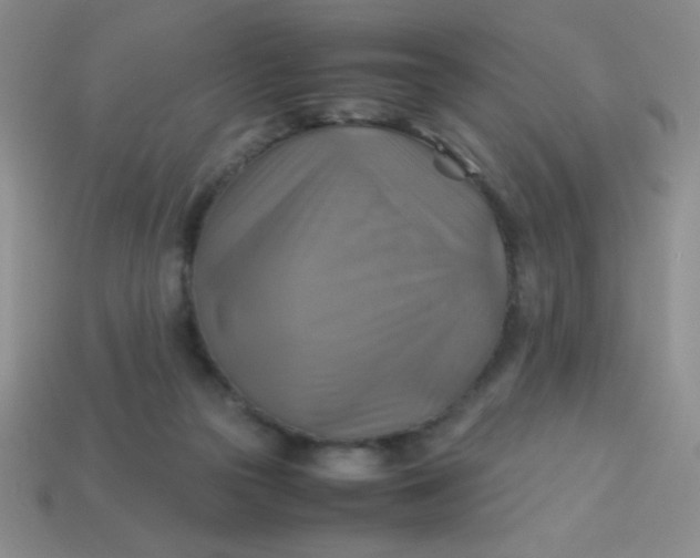 X0000113590169200910091507