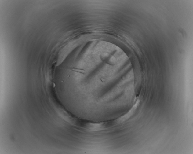 X0000113590170200910091507