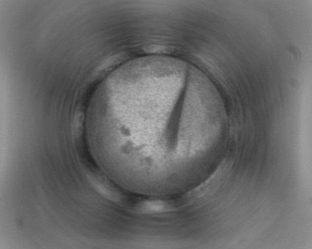 X0000113590171200910091507