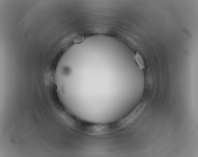 X0000113590172200910091507