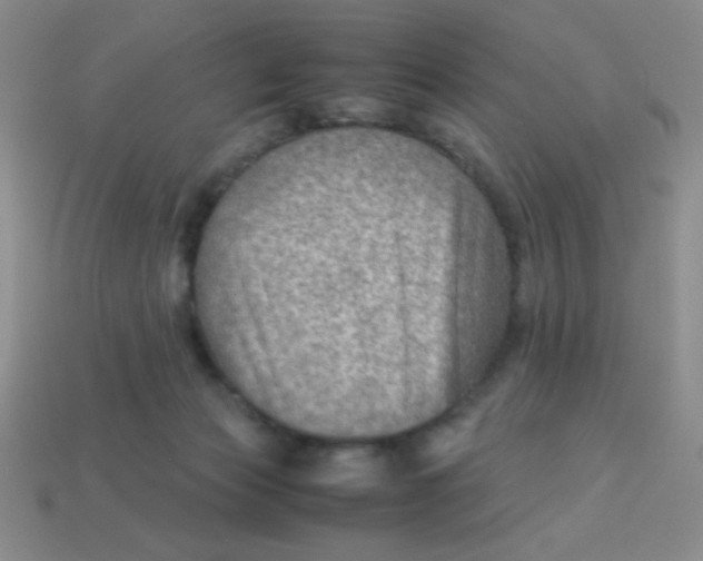 X0000113590173200910091507