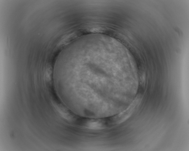 X0000113590175200910091507