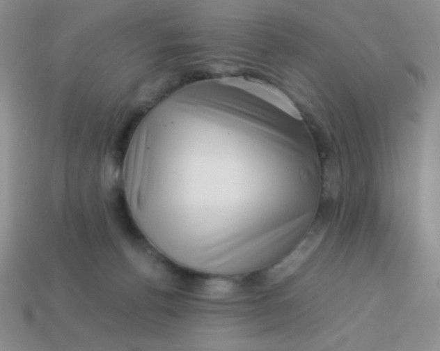X0000113590176200910091507