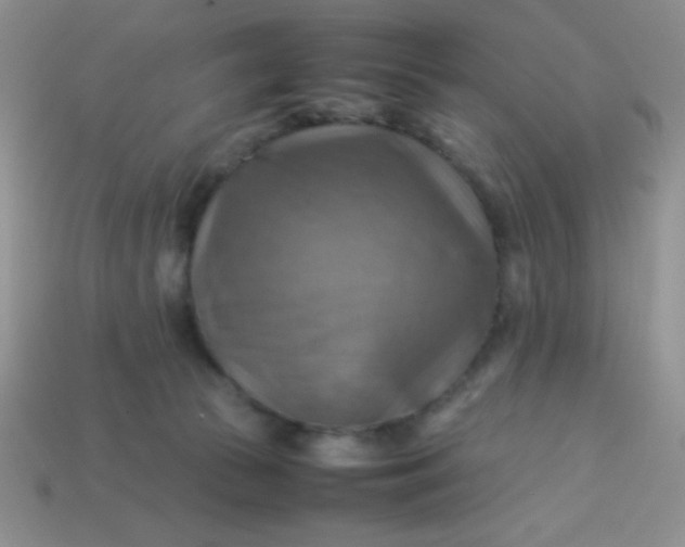 X0000113590177200910091507