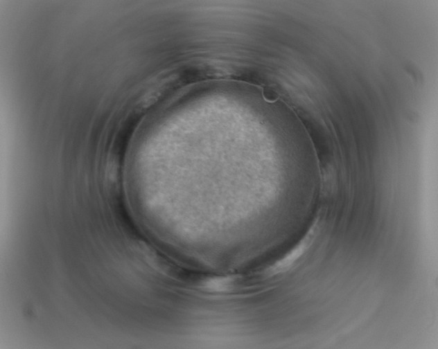 X0000113590178200910091507