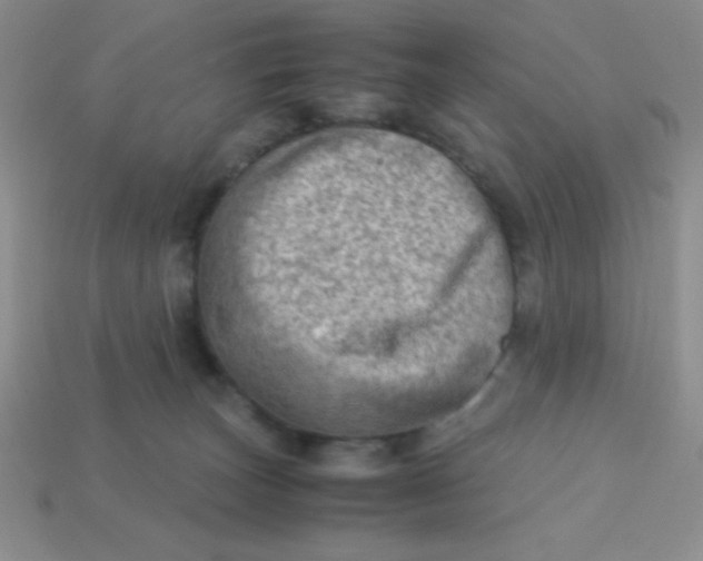 X0000113590179200910091507