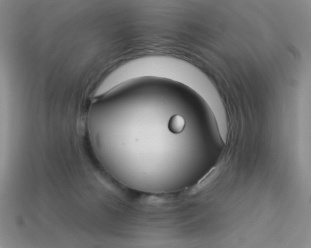 X0000113590180200910091507