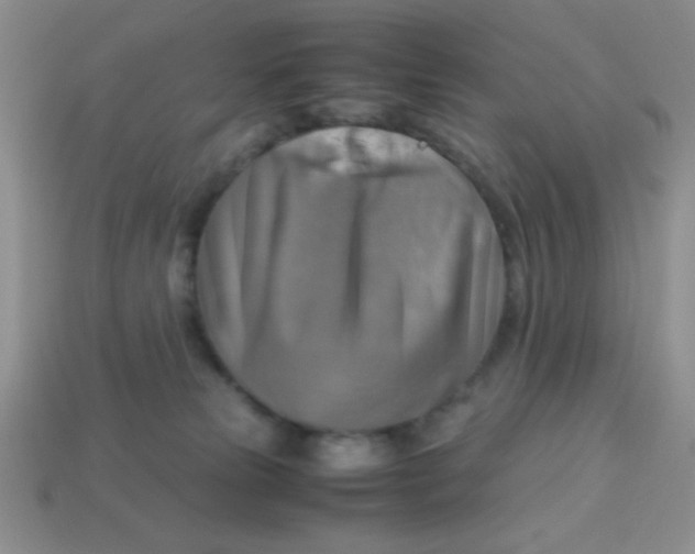 X0000113590181200910091507