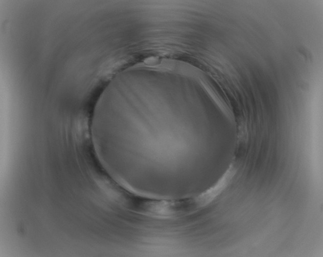 X0000113590182200910091507