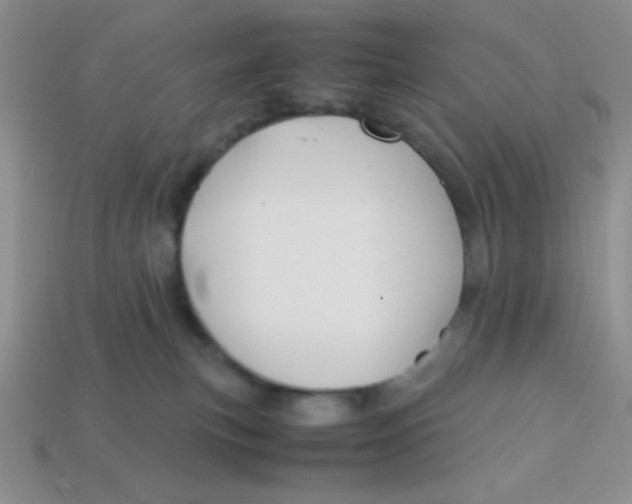 X0000113590183200910091507