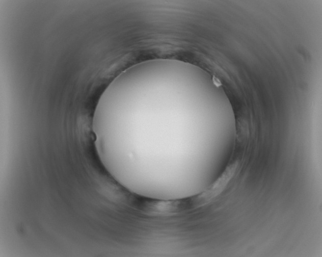 X0000113590184200910091507