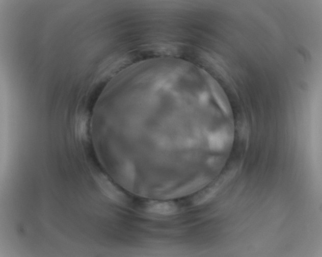 X0000113590185200910091507