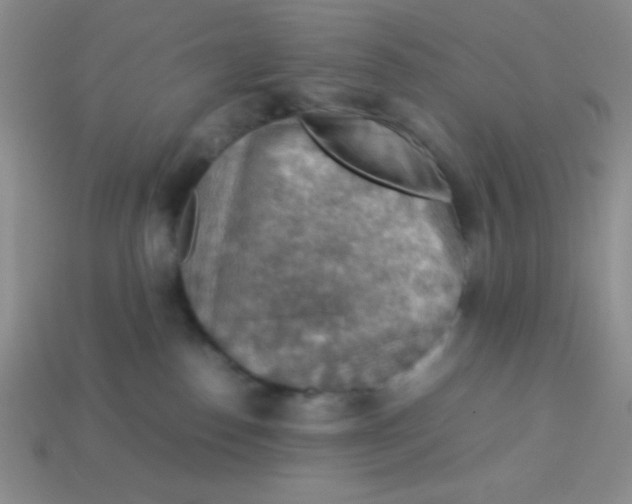 X0000113590186200910091507